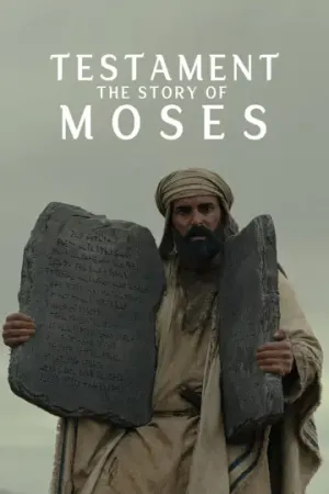 Capa Filme/Série